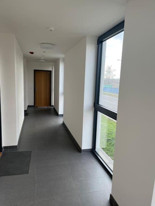 Apartman Holesovice,Balkon,Garaz Praga Zewnętrze zdjęcie